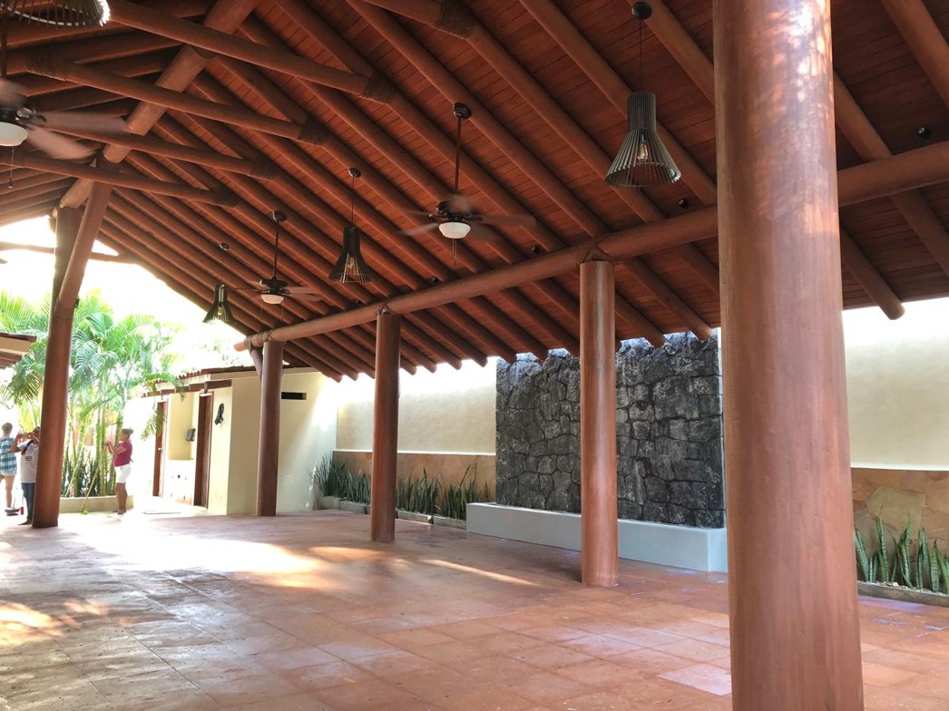 Techumbres y palapas