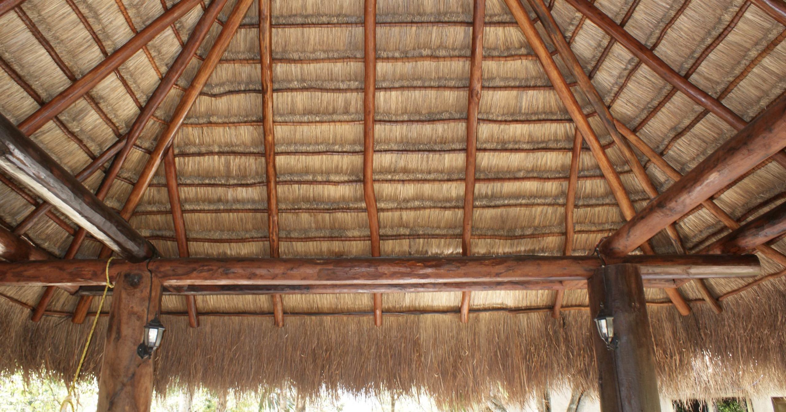 Techumbres y palapas